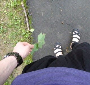 readme3's profile picture. Awesome/연락은없으나 어디있는지는 생각이 뻔한/ B형/본질/감성적/때론 모자란/