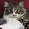 thinker128's profile picture. Lover of books, paper, pens, and politics. Retired cop, writer, often traveling the USA. #Resistance #DefeatTrump