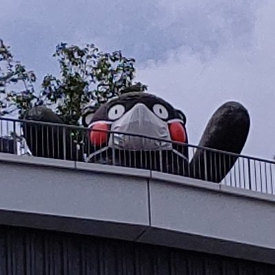 ishibas46779970's profile picture. 会社でDXの取組が本格化して、いろいろプレッシャーがかかるので自分で作ってみることにしたのはいいが、もう心が折れそう😢