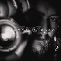 VoltronCicada (@voltroncicada) 's Twitter Profile