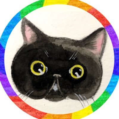 🐈‍⬛エキゾチックショートヘア🐈‍⬛ ︎︎ 女の子(5歳)✨大切な子です✨画像や動画の使用や転載はご遠慮ください⚠ ⚠️All rights reserved⚠️