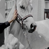 .🩶 (@_07llk9) 's Twitter Profile