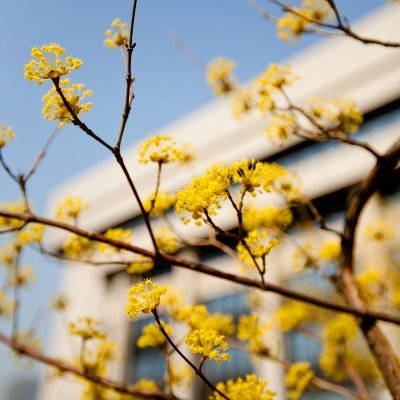 centrallibrary_'s profile picture. 이는 덕질 중의 덕질이며 일기 중의 일기라