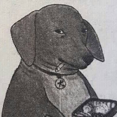 NipponDachshund's profile picture. on all levels except sexual, I am an incel