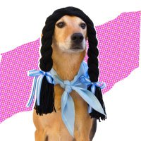 อีเปีย (@eepiaepia) 's Twitter Profile Photo อีเปีย (@eepiaepia) 's Twitter Profile Photo