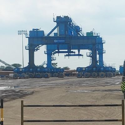 MukeshS61820361's profile picture. Dog