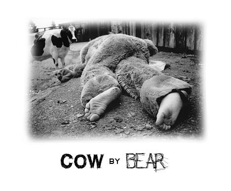 CowByBear's profile picture. A Little Italy, San Diego dinner party experience experiment, carving up nothing but 45 day dry aged, grass-fed, bone-in ribeye.