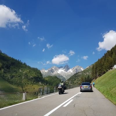 Jindodog1004's profile picture. 