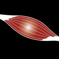 Institute of Sports Medicine Copenhagen (@ismcopenhagen) 's Twitter Profile Photo Institute of Sports Medicine Copenhagen (@ismcopenhagen) 's Twitter Profile Photo