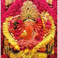 Devendra (@pg37510768) 's Twitter Profile