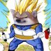 玥天 \🇫🇷\ 🇺🇦✊🇹🇼 (@TheSaiyanFella) Twitter profile photo