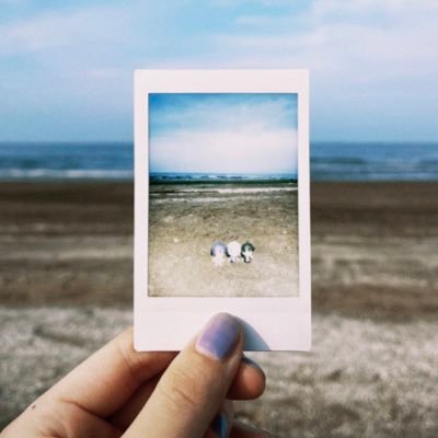 🌦さんのプロフィール画像