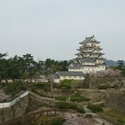 大学生