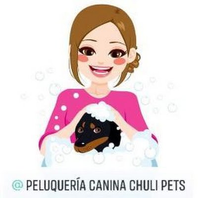 chuli_pets's profile picture. Peluquera Canina en Alicante! Años dando el mejor cuidado para tu mascota! Mucho y amor y paciencia♥️