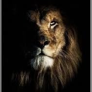 vneelavara's profile picture. Curious by nature, Interested in Agetech, Metaverse, Cloud computing and Economics...hate bullshit ..