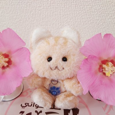猫の手ハムサ🌸🐱🌸さんのプロフィール画像