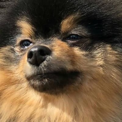 THIS ACCOUNT AND THIS USER BELONG TO BTS and k9kuro too (coz I love that man💜❤️🩹)