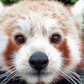 Ruga094's profile picture. 