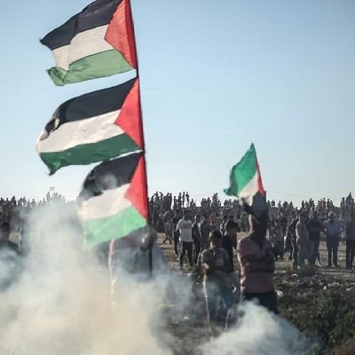 abu_suhaib323's profile picture. فلسطيني لا يعرف الهوان 🔥🇵🇸