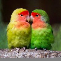 juan carlos valera c (@jcplenitud) 's Twitter Profile Photo juan carlos valera c (@jcplenitud) 's Twitter Profile Photo