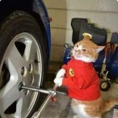 TheExtr53449677's profile picture. 