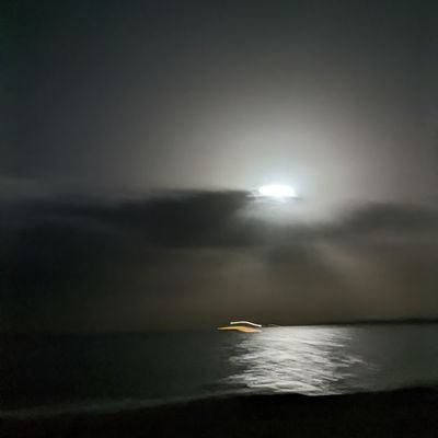 VicentStinson21's profile picture. 