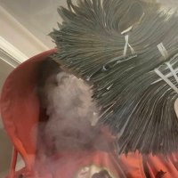 Chance Bandz 💰🏂 (@daybandz_) 's Twitter Profile