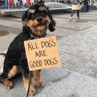 Mr. All Dogs Win (ADW)(@chrisbkusa) 's Twitter Profile Photo