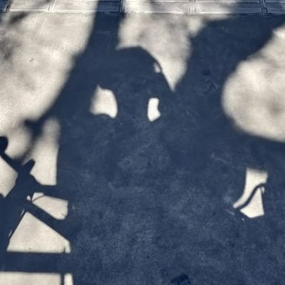 vvenice's profile picture. 