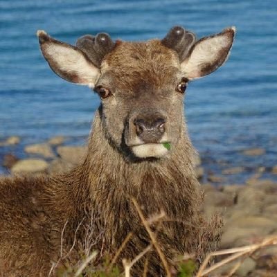 stuartdavid's profile picture. 