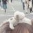 chan_jun5