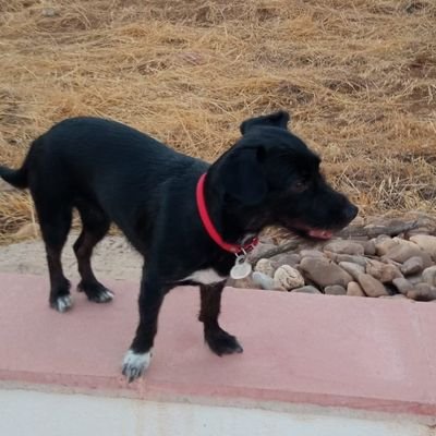 jdjosedjd's profile picture. Suelo leer y retuitear cosas interesantes. Quizás para ti no lo sean...