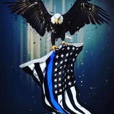 RobIngraffia's profile picture. 