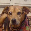 Gary Fleming - @GWFleming - Twitter