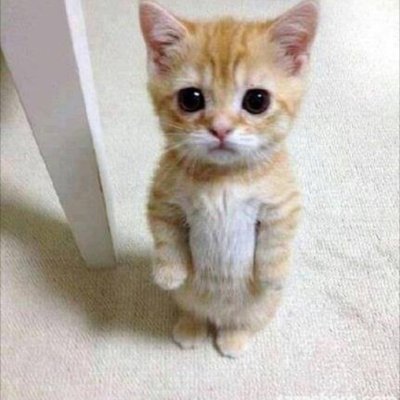 solmzxleas's profile picture. yaşıyorum ama bom boş