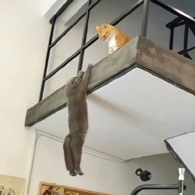 prxvacc__'s profile picture.