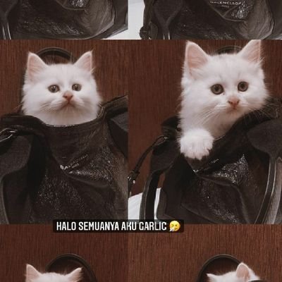 lebih suka bercanda daripada serius!!