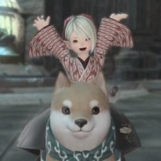 みったんさんのプロフィール画像