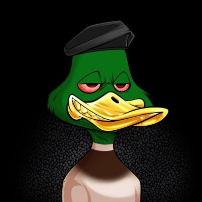 PedroLo13376732's profile picture. #Mallard
#SafariSquad