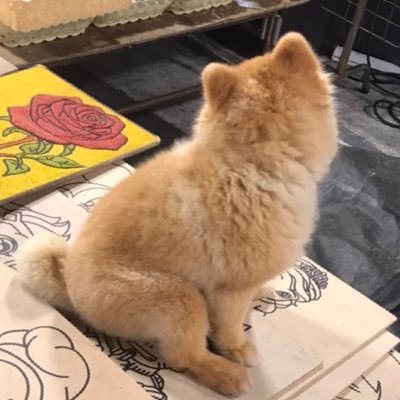 kaiki_sakigake's profile picture. 大学職員7年目。魂を学生時代に置いてきた。 最近更新をサボっているブログはこちらですhttps://t.co/B0L6GdKhyr
