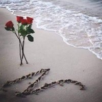 عاشقه الجنه (@pdhyug7rxmqajms) 's Twitter Profile