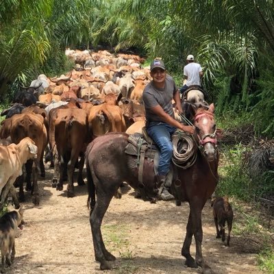 Jutiapaneco, amando las vacas siempre, bohemio de afición, cervecero del alma.