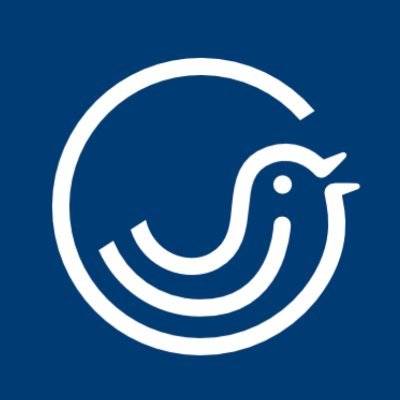 Corus_wellbeing's profile picture. Wellbeing accounting