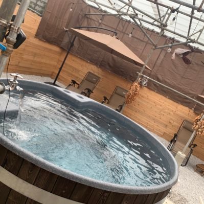 t_rakko's profile picture. 