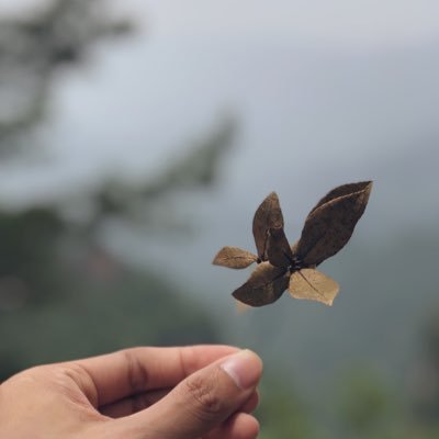 @nutr_nut Profile