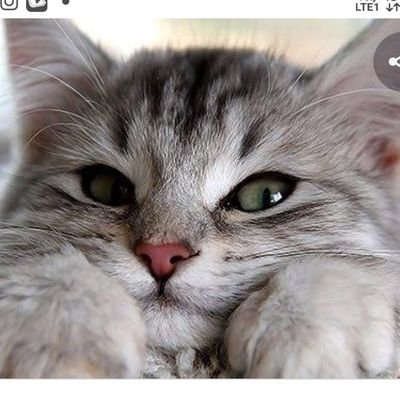 CatuKlan's profile picture. ความคิดถึงที่ไม่มีอะไรแทนที่เธอได้ความรักคือคว่มไว้ใจซึ้งกันและกัน🐈