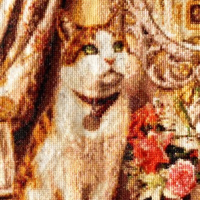パピさんのプロフィール画像