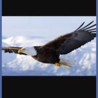 Brasil Livre (@brasillivre20) 's Twitter Profile Photo