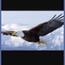 Brasil Livre (@brasillivre20) Twitter profile photo Brasil Livre (@brasillivre20) Twitter profile photo