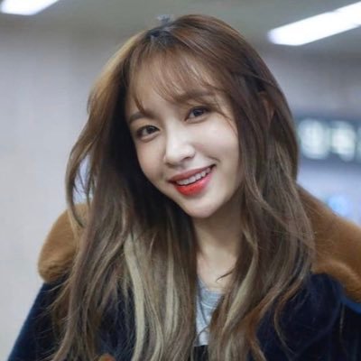 Twitter初心者です。仲良くしてください🙇‍♀️  EXID♡LEGGO haniluv SEVENTEEN♡Carat ジョンハン ドギョムluv